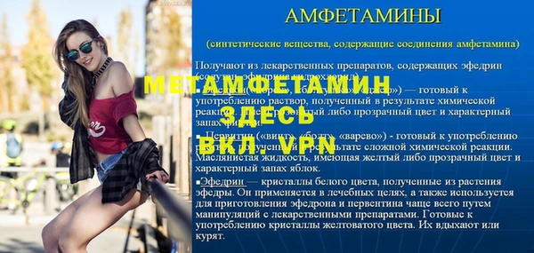 метадон Алексин