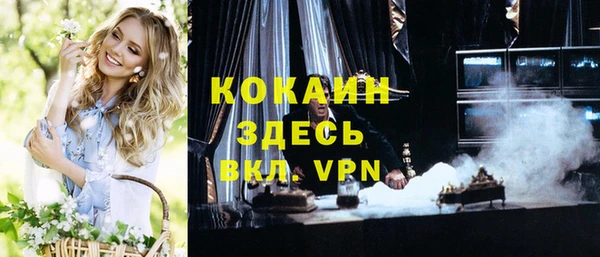 метадон Алексин