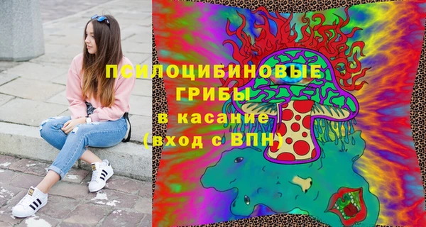 метадон Алексин