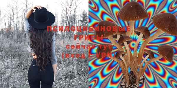 метадон Алексин