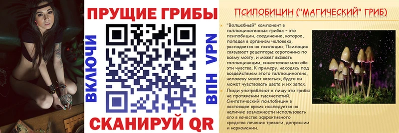 Галлюциногенные грибы Psilocybe Камешково